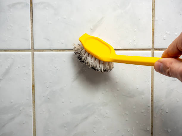 Best Same-Day Mold Removal  in Perry, GA