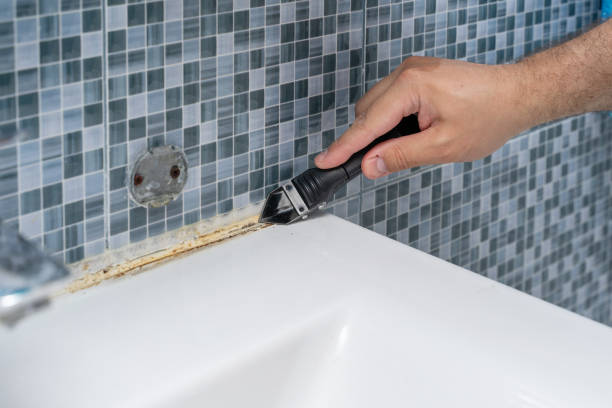 Best Certified Mold Removal  in Perry, GA