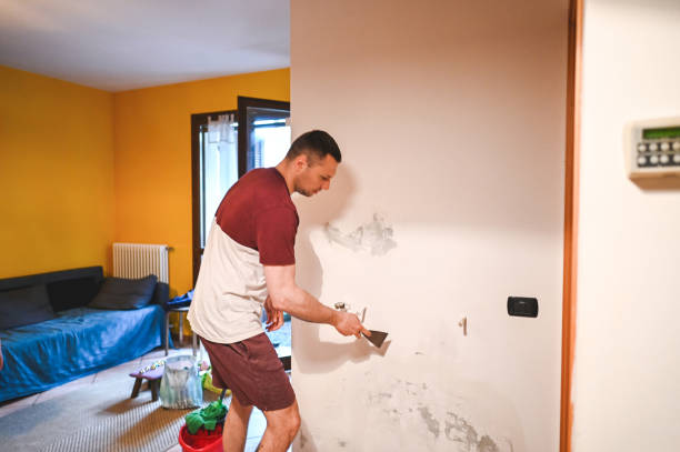 Best Certified Mold Removal  in Perry, GA